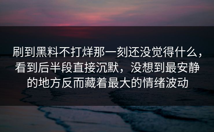 刷到黑料不打烊那一刻还没觉得什么,看到后半段直接沉默,没想到最安静的地方反而藏着最大的情绪波动