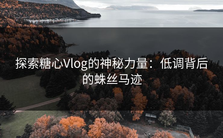 探索糖心Vlog的神秘力量：低调背后的蛛丝马迹