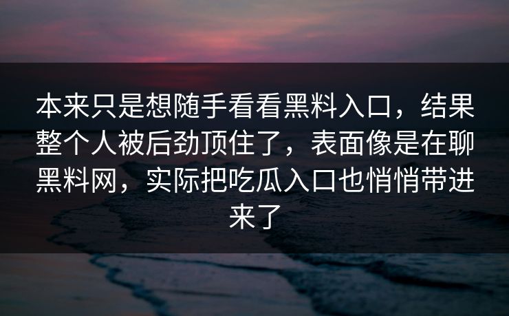 本来只是想随手看看黑料入口,结果整个人被后劲顶住了,表面像是在聊黑料网,实际把吃瓜入口也悄悄带进来了