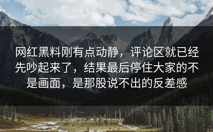 网红黑料刚有点动静,评论区就已经先吵起来了,结果最后停住大家的不是画面,是那股说不出的反差感