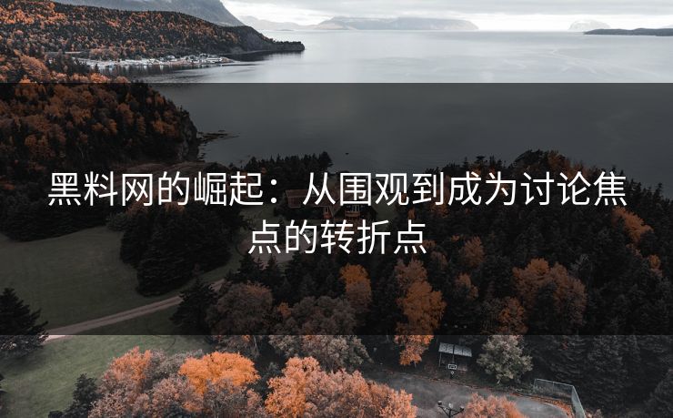 黑料网的崛起:从围观到成为讨论焦点的转折点